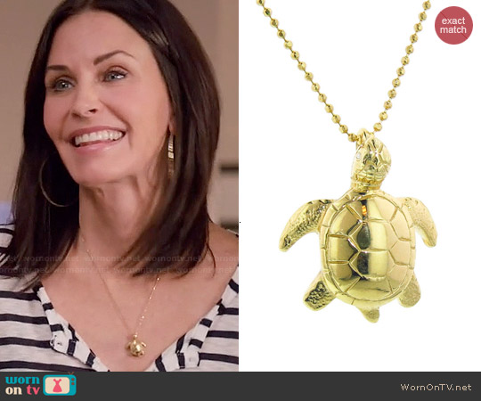 Wornontv Juless Striped Henley Top And Turtle Necklace On Cougar Town 