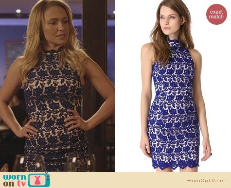 WornOnTV: Juliette’s blue lace bodycon dress on Nashville | Hayden ...
